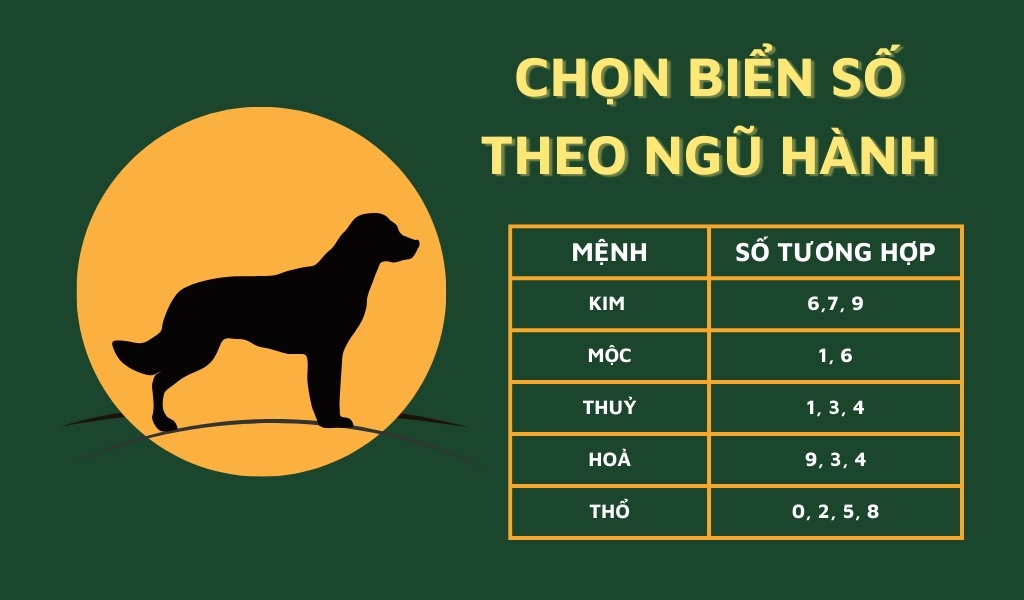 Chọn biển số xe cho người tuổi Tuất theo Ngũ hành