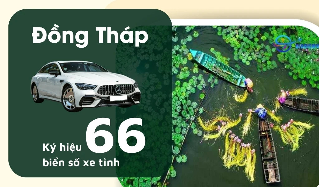 Ký hiệu biển số xe Đồng Tháp là 66