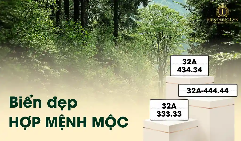 Biển số xe hợp mệnh Mộc