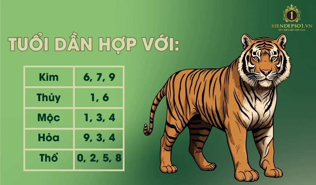 Các con số hợp với tuổi Dần theo từng mệnh