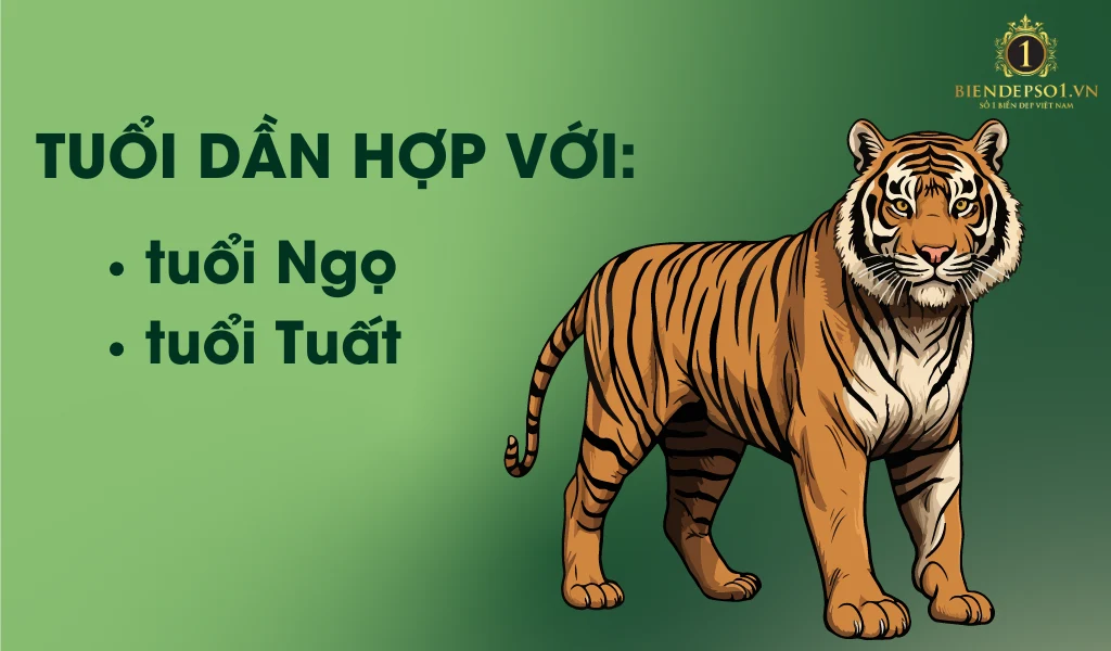 Người tuổi Dần hợp với tuổi Ngọ và Tuất