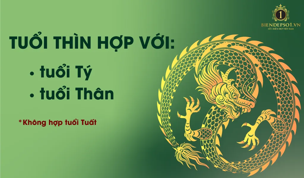 Các tuổi hợp với tuổi Thìn