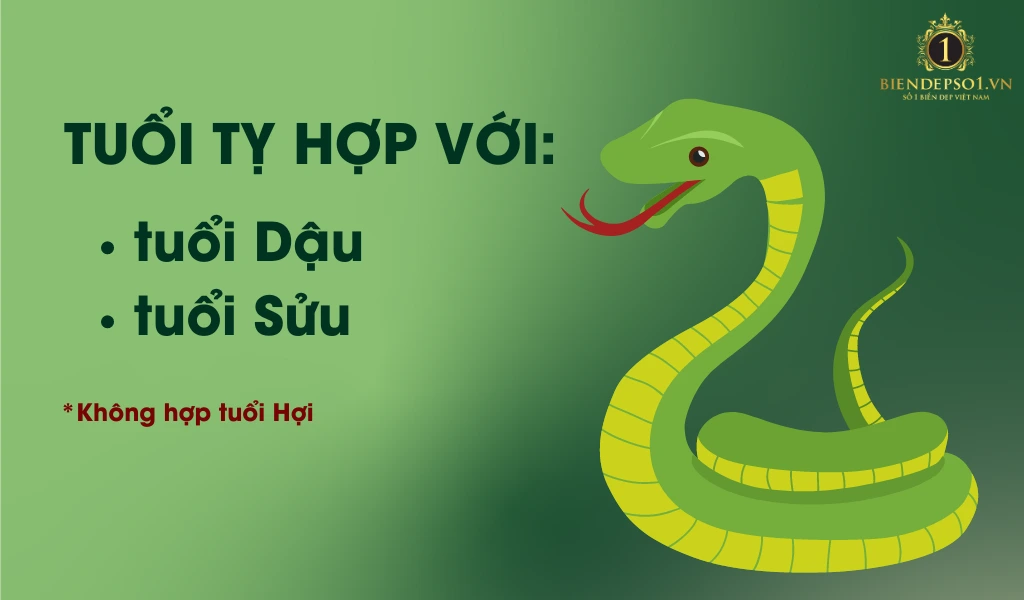 Mối quan hệ của tuổi Tỵ với các con giáp khác