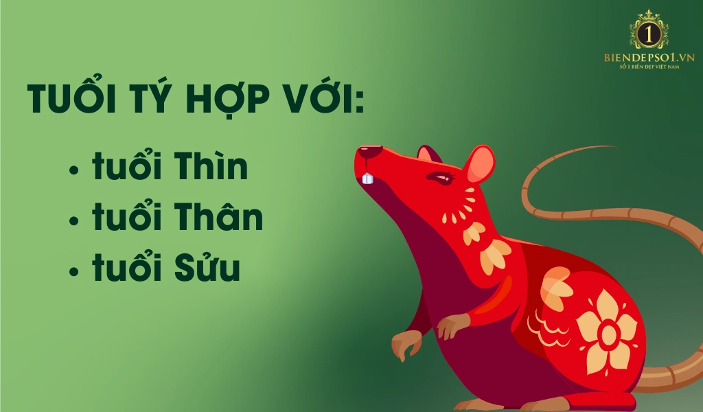 Người tuổi Tý hợp với tuổi Thân, Thìn và Sửu