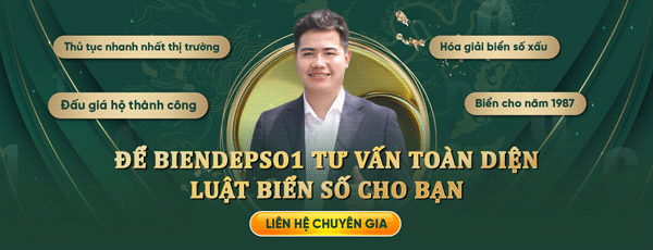 CTA tư vấn luật biển số