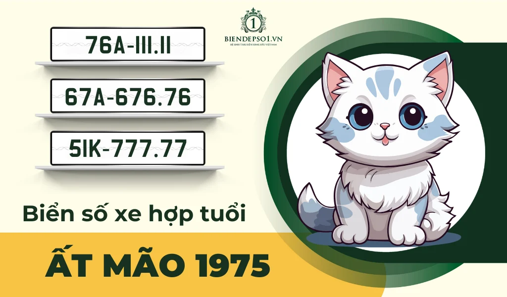 Tư vấn chọn biển số xe hợp tuổi Ất Mão