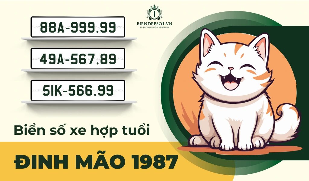 Hướng dẫn chọn biển số xe hợp tuổi Đinh Mão