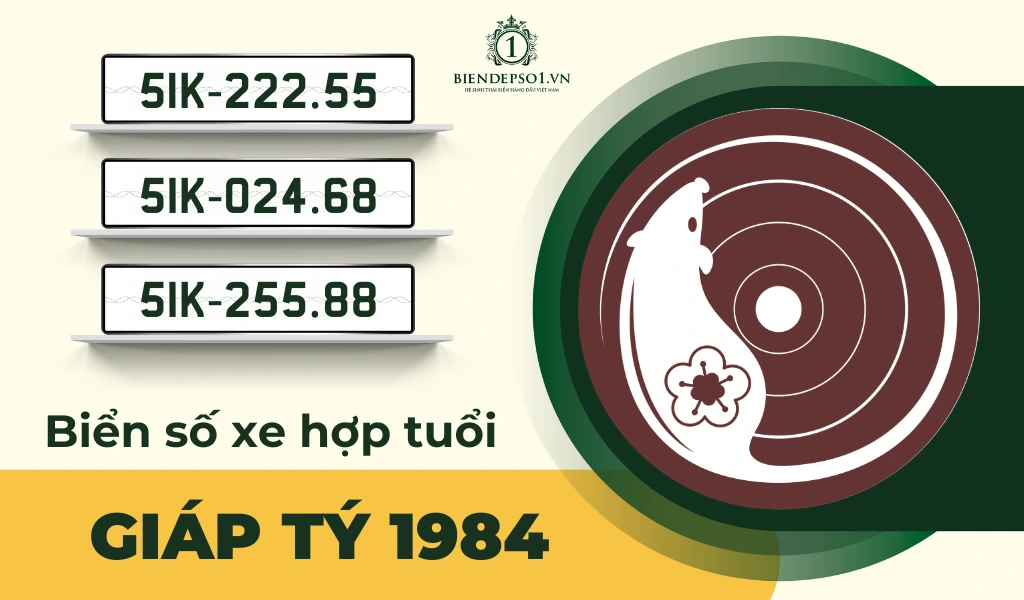Tư vấn chọn biển số xe hợp tuổi Giáp Tý