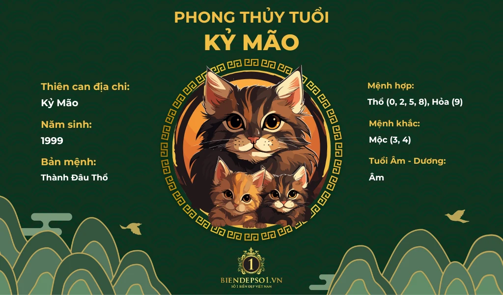Phong thủy tuổi Kỷ Mão sinh năm 1999