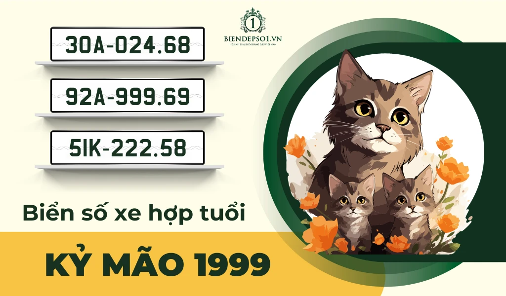 Tư vấn chọn biển số xe hợp tuổi Kỷ Mão