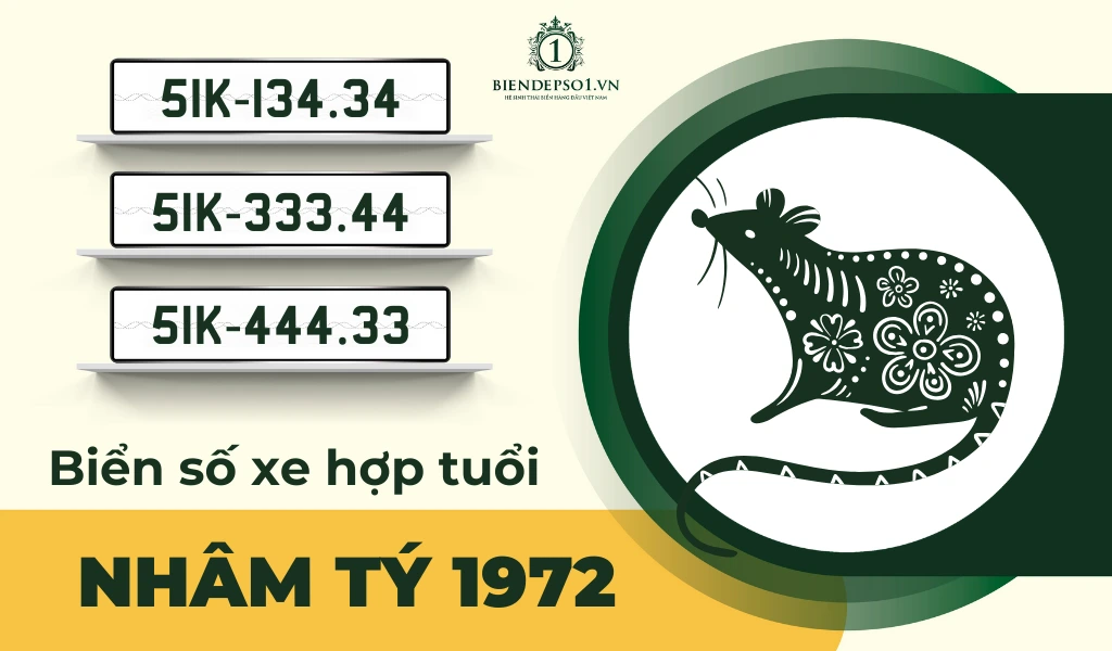 Hướng dẫn chọn biển số xe hợp tuổi Nhâm Tý 1972