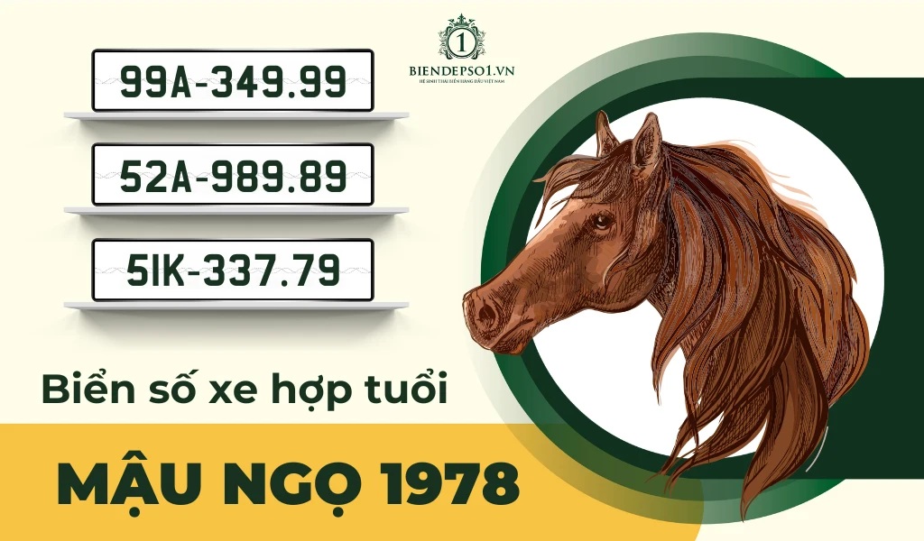 Biển Số Xe Hợp Với Tuổi Mậu Ngọ: Lựa Chọn May Mắn, Tài Lộc Đầy Nhà