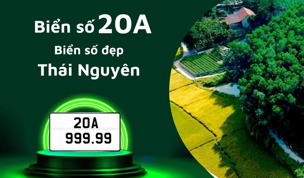 Giải đáp biển 20A ở đâu và giá mua mới nhất 2025