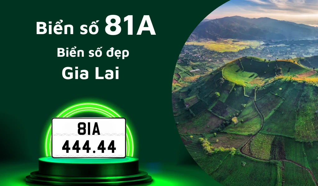 Tìm hiểu biển số 81A ở đâu và cập nhật giá mua để sở hữu biển đẹp Gia Lai hiện nay