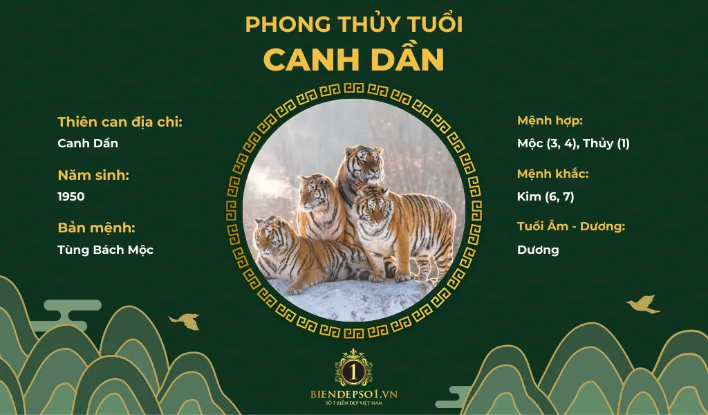 Phong thủy người tuổi Canh Dần