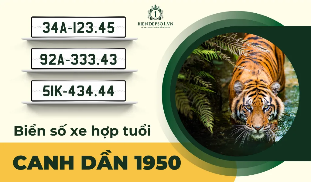 Cách chọn biển số xe hợp tuổi Canh Dần