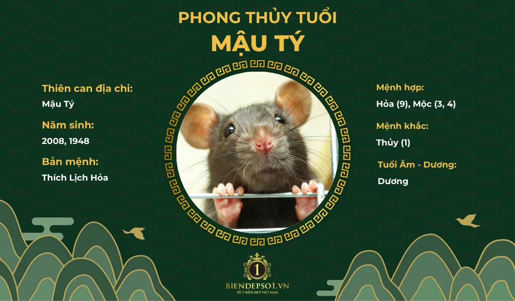 Phong thủy người tuổi Mậu Tí mệnh Hỏa
