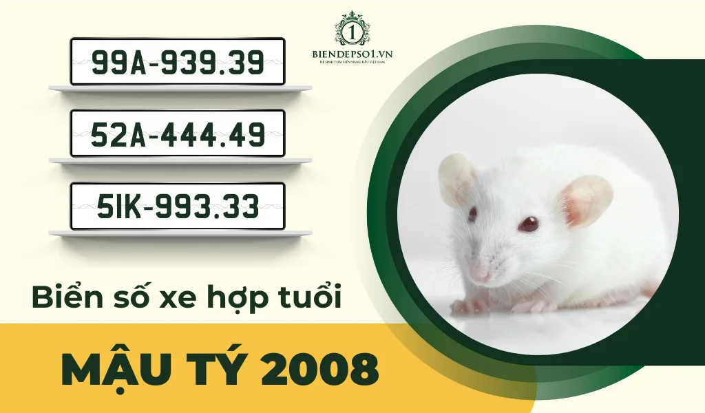 Cách chọn biển số xe hợp tuổi Mậu Tý sinh năm 2008