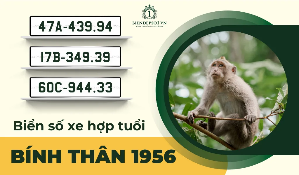 Hướng dẫn chọn biển số xe hợp tuổi Bính Thân 1956