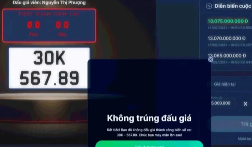 Trường hợp không trúng đấu giá, người tham gia chỉ mất 100.000 đồng phí hồ sơ tham gia.