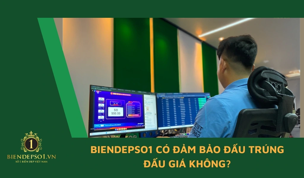 Biendepso1 có đảm bảo đấu trúng đấu giá không?