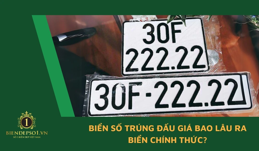 Biển số trúng đấu giá bao lâu ra biển chính thức?