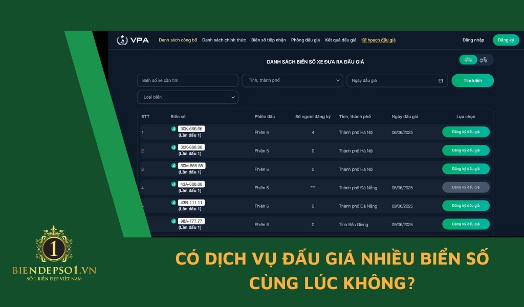 Có dịch vụ đấu giá nhiều biển số cùng lúc không?